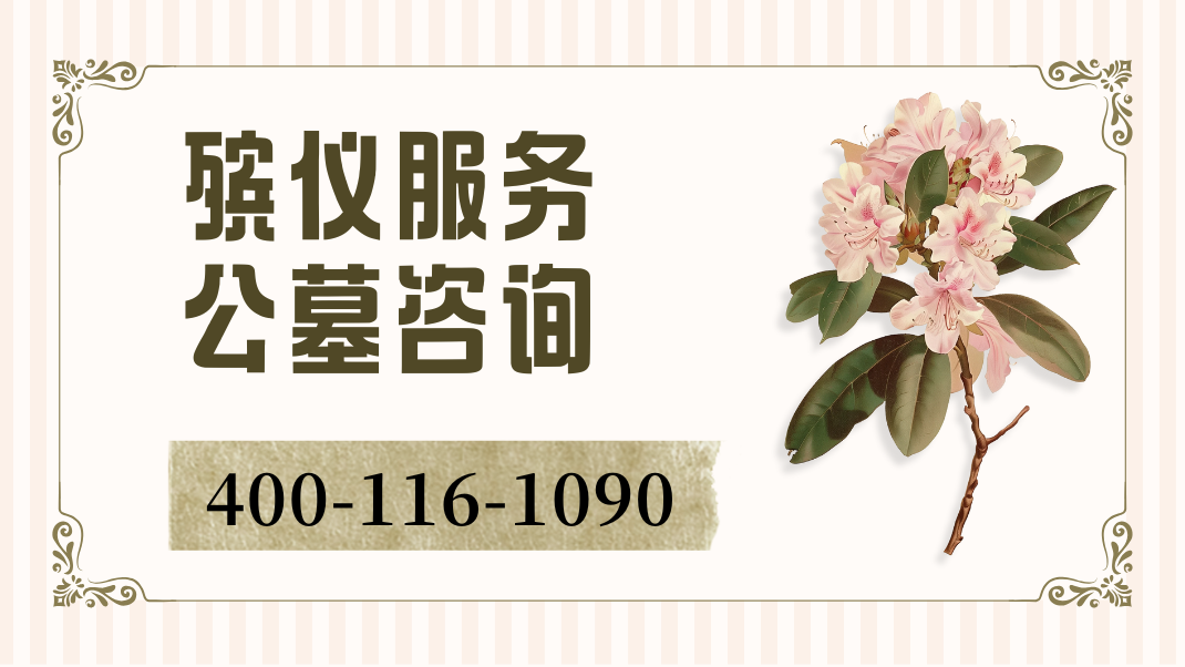 1766452131272790.png 个人作品集.png