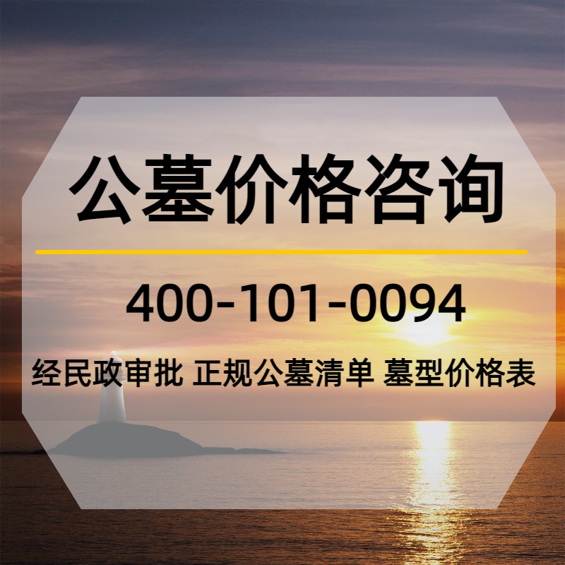 1781078080831199.jpg 1781078080831199.jpg