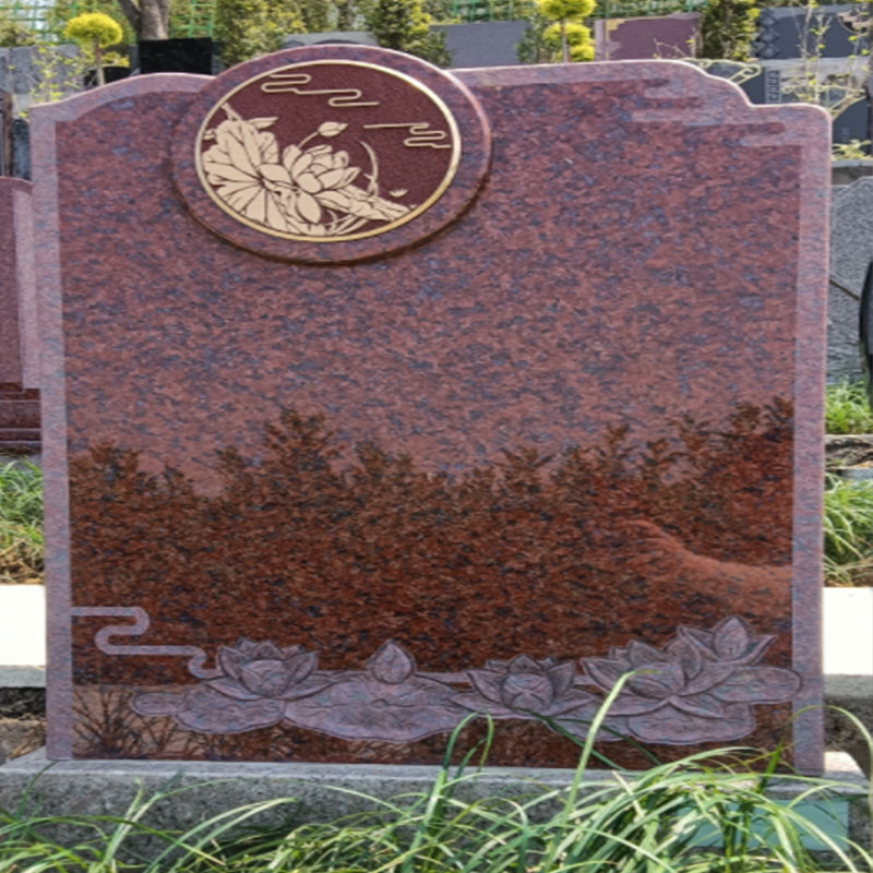 c区c30