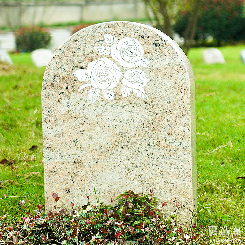 福丹1
