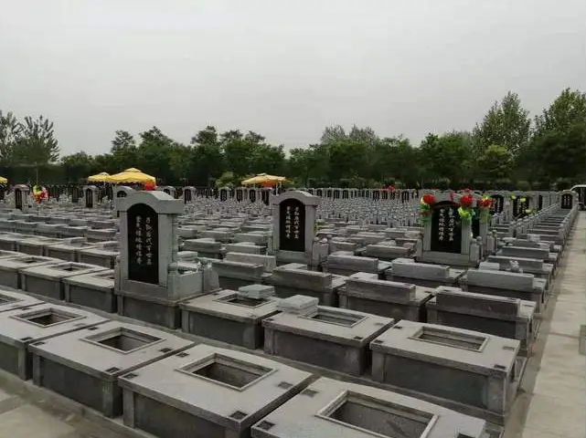 老人去世后的骨灰可以存放家中吗有没有什么坏处 老人去世后的骨灰可以存放家中吗有没有什么坏处
