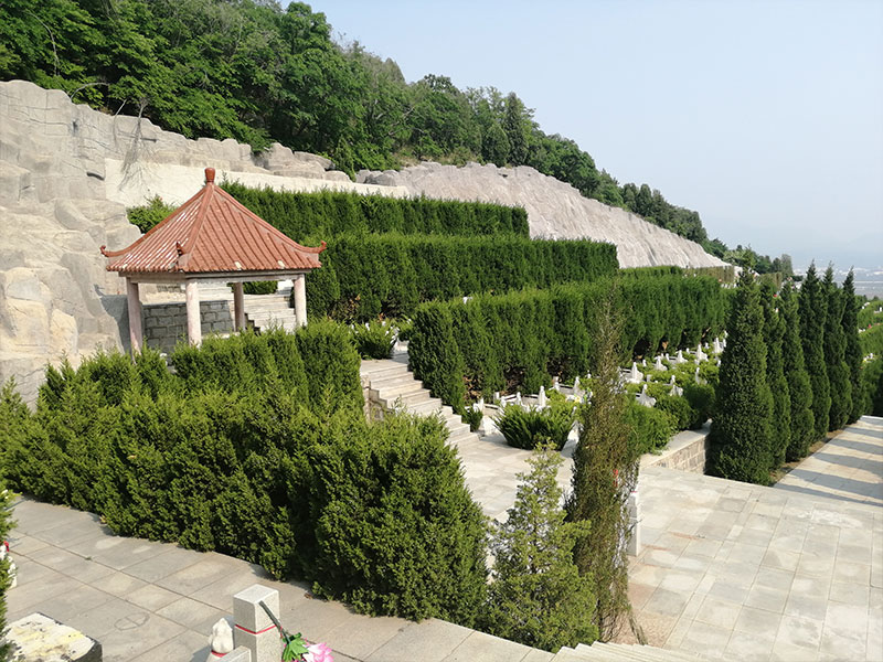 墓区实景.jpg