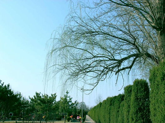 190416051648ipjecu.jpg