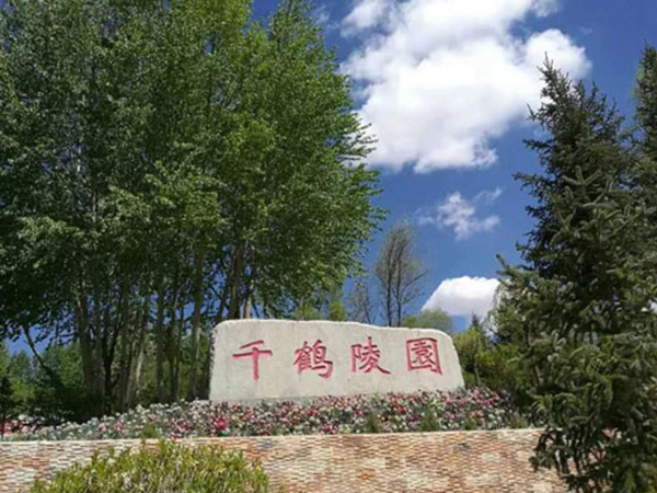 1677225160865770.jpg 3.jpg