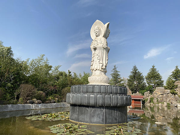1677904537241717.jpg 观音.jpg