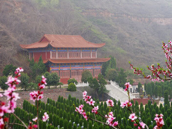 1678069806530824.jpg 楼与花.jpg