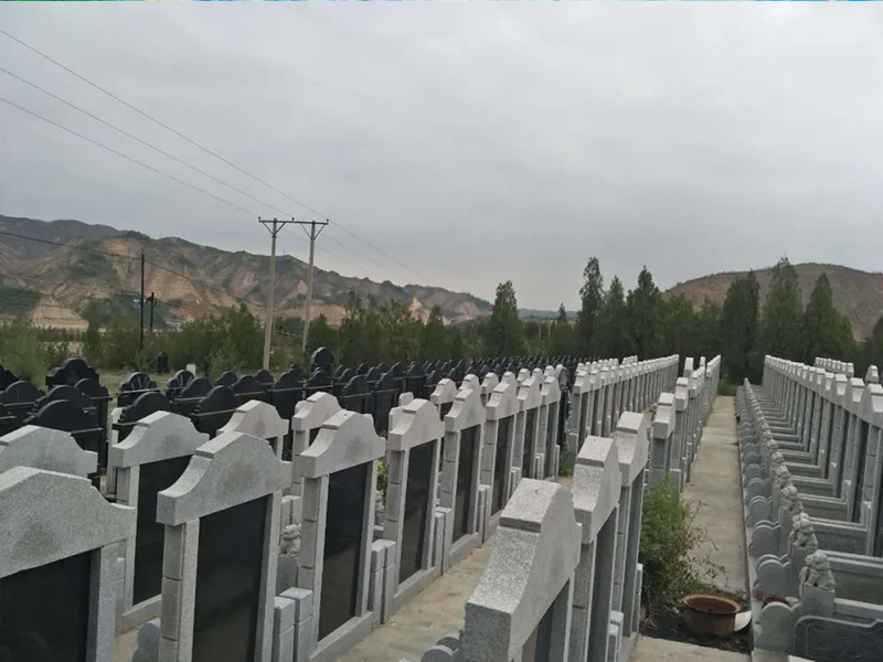 居龙园1.jpg