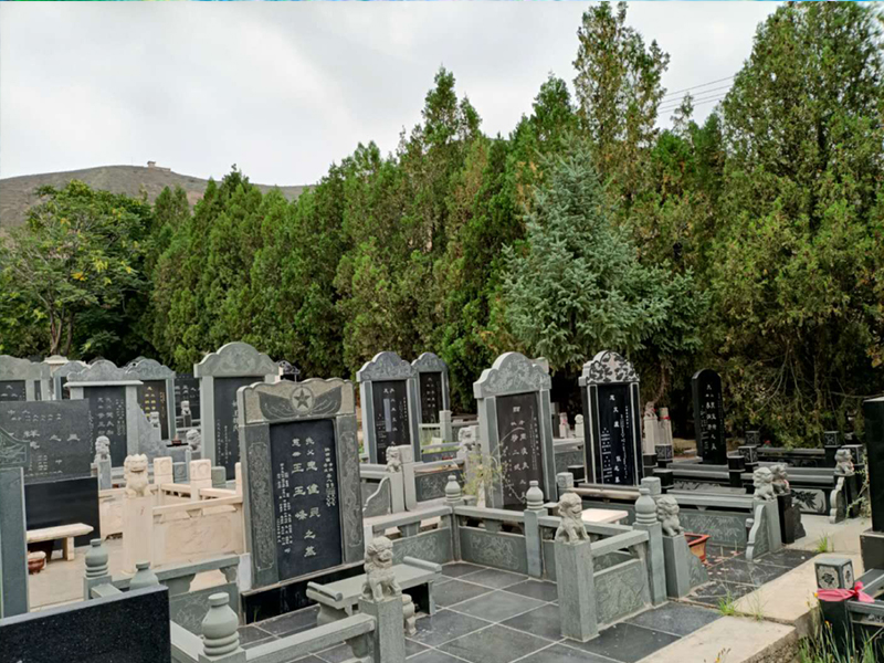 居龙园2.jpg