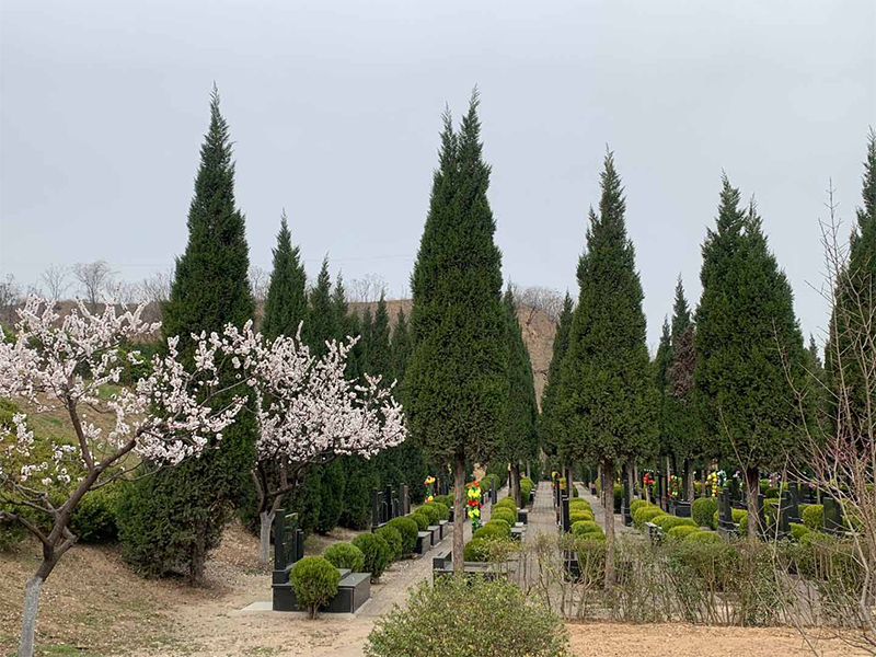 1679025968679391.jpg 墓区图.jpg