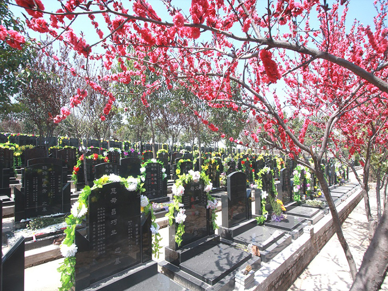 墓区环境.jpg