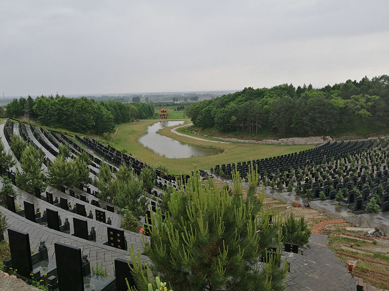 1679642555486339.jpg 墓区实拍.jpg