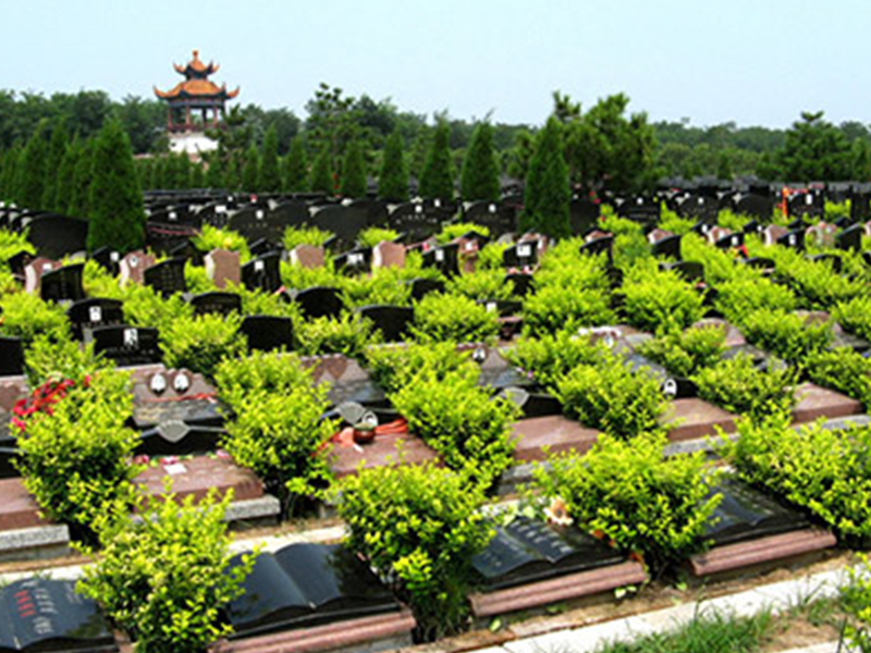墓区图.jpg