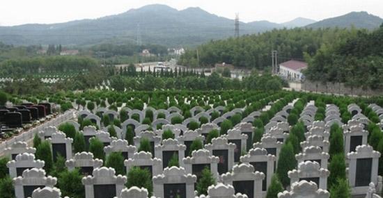 微信图片_20230401102714.jpg