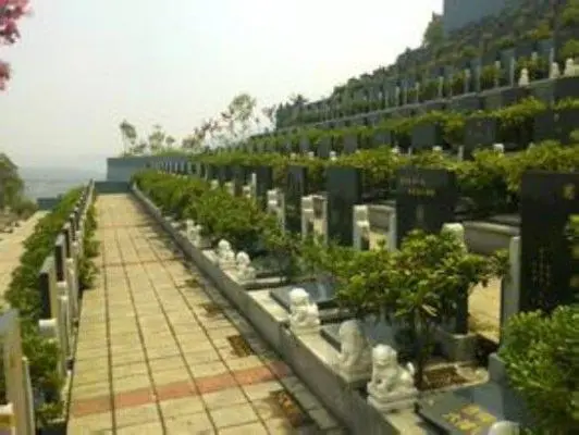 微信图片_202304011437259.png