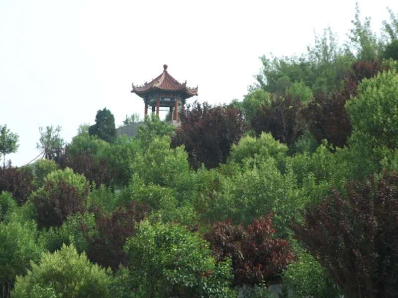 山中凉亭.jpg