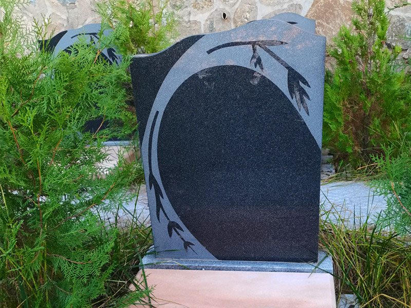 1651211851564.jpg
