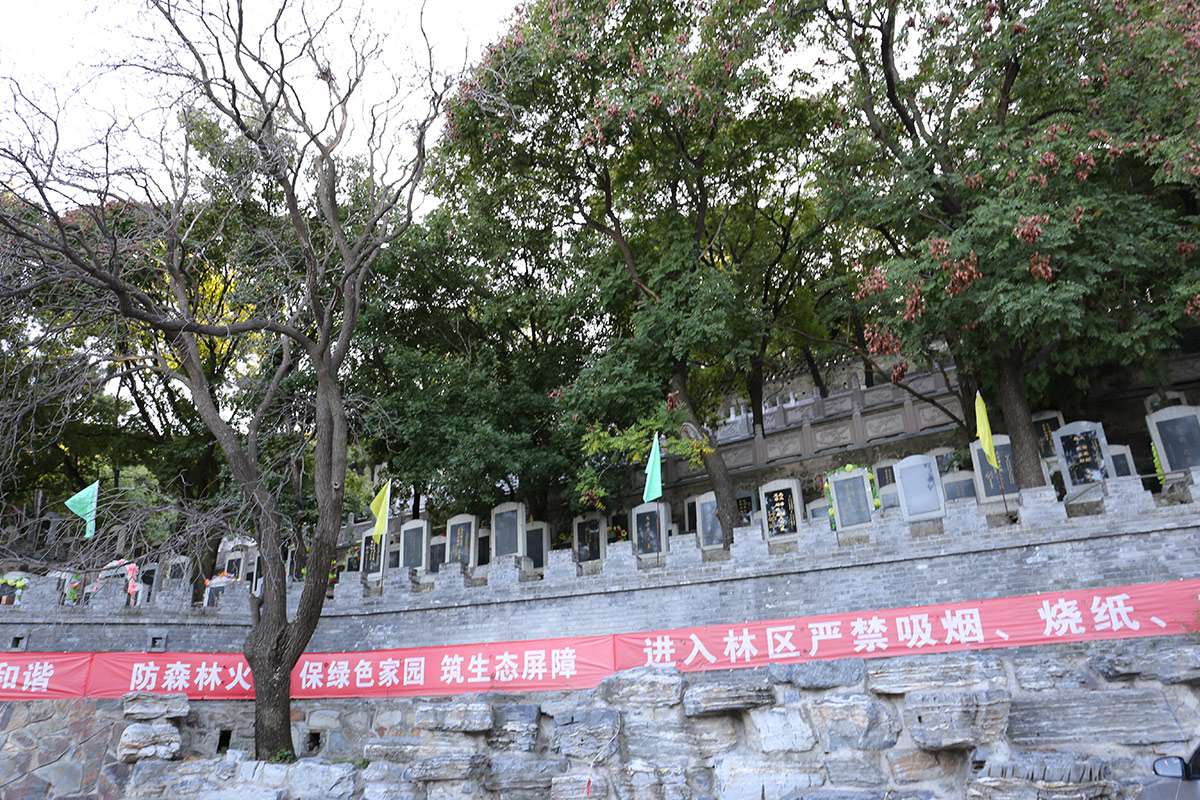 1686820070557742.jpg 1686820070557742.jpg