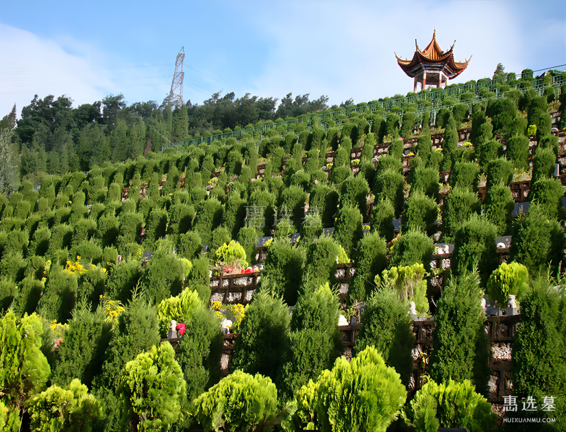 1692061135652145.png 图片9(1).png