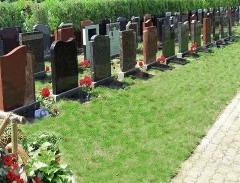 1692949523474379.jpg u=2079945063,3364583043&fm=253&fmt=auto&app=138&f=JPEG.webp.jpg