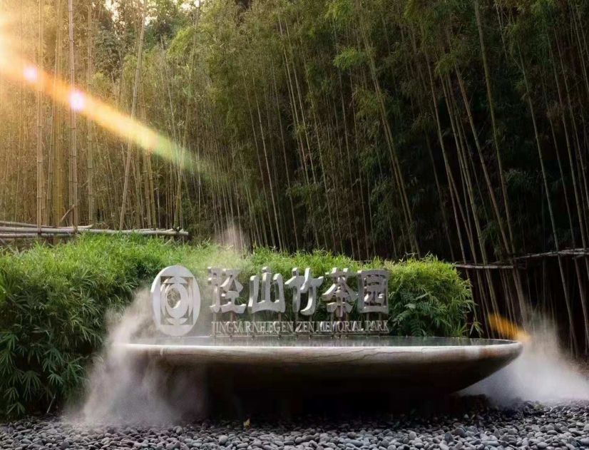 40d6583000608a7db69ed295edb1e155.jpg