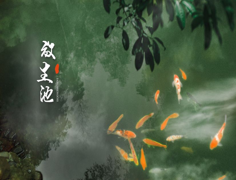 放生池.jpg
