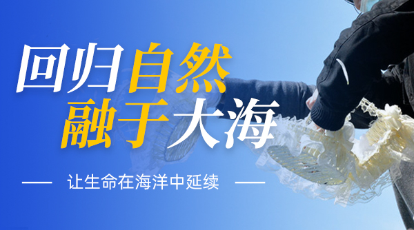 1721792561385736.jpg pc端大图2.jpg