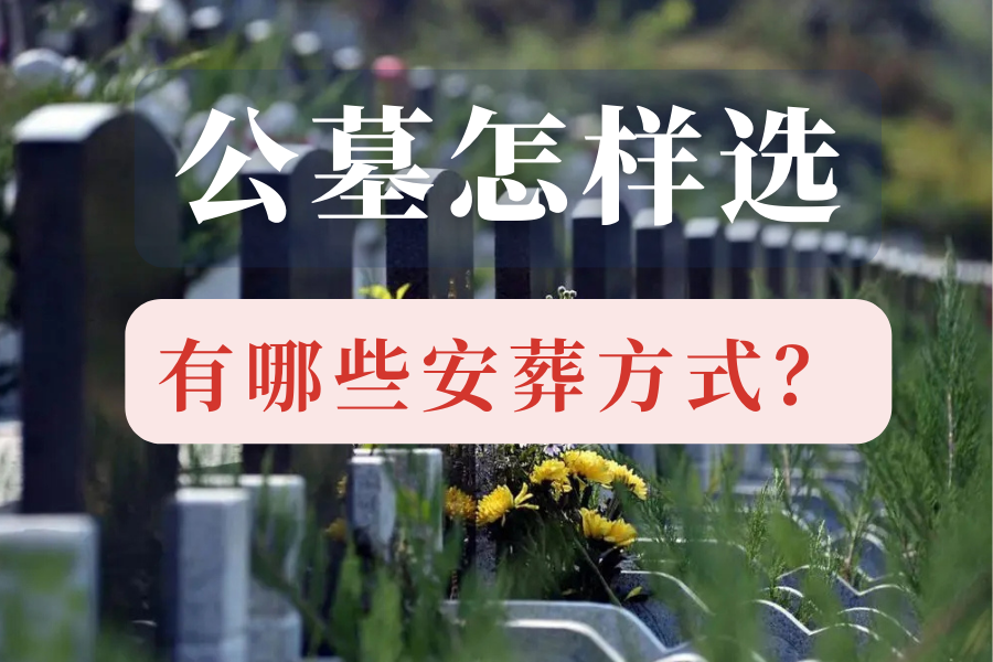 1721980348928204.png 公墓怎么选.png