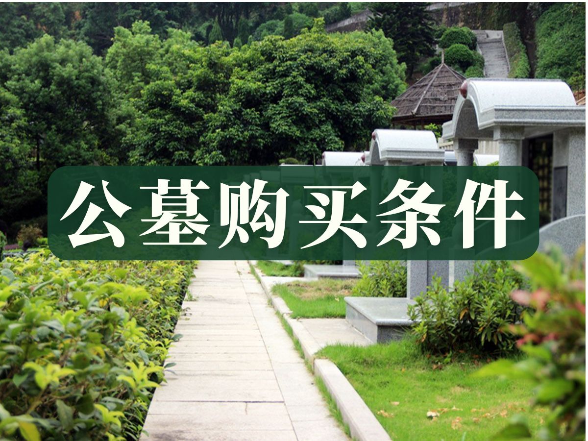 1728454717314431.jpg 公墓购买条件.jpg